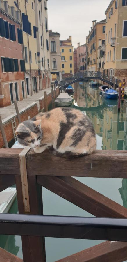 Magic Casanova Flat In The Heart Of Venice Apartman Kültér fotó